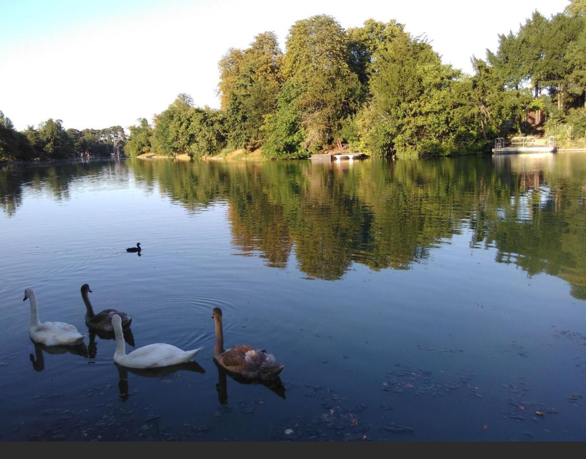 Charme Appartement Entier Pres Paris La Defense Nanterre Suresnes Dış mekan fotoğraf